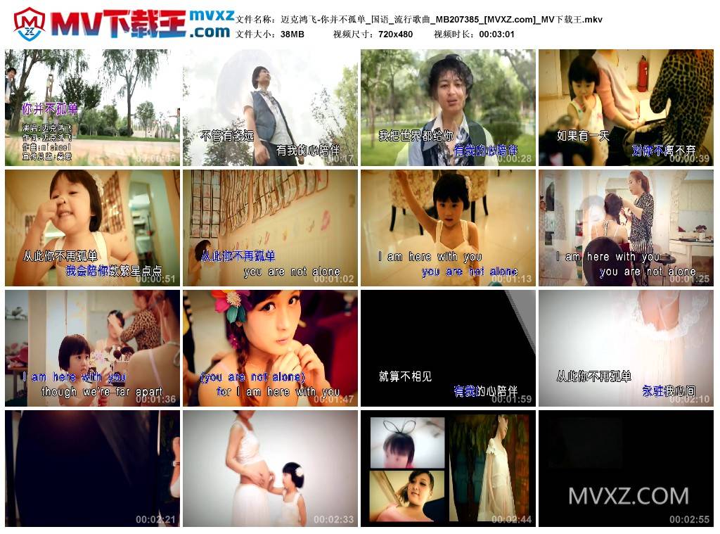 迈克鸿飞-你并不孤单_国语_流行歌曲_MB207385